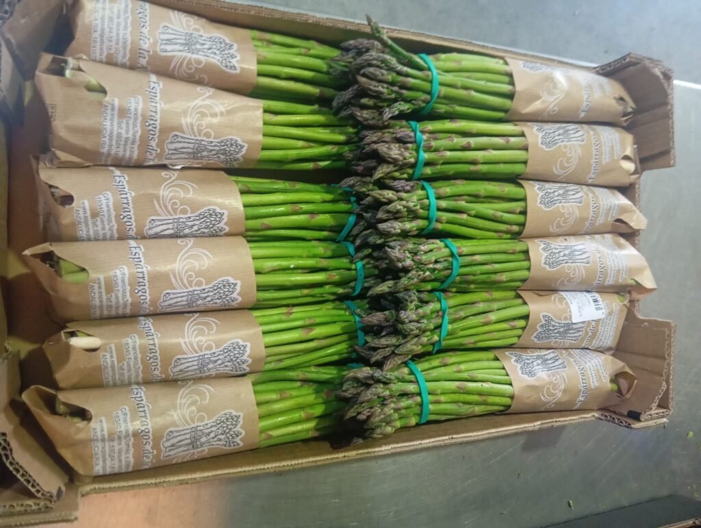 Espárrago verde y fresco empacados - Espárragos de la abuela